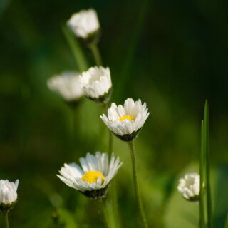 photo/3845e92d-85f8-43a8-b34d-138e33e175cd-3